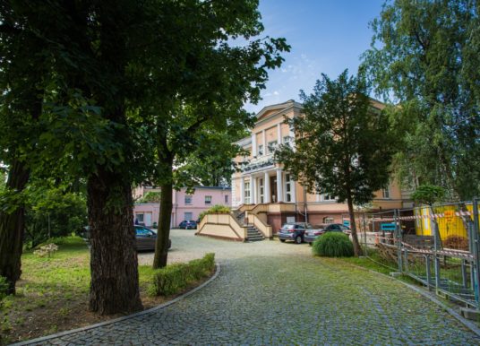 Koncert zespołu Ryczące Dwudziestki już jutro w ogrodzie WBP w Opolu