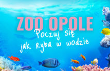 Już w najbliższy piątek otwarcie akwarium w ZOO Opole