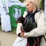 Prawie 3000 rasowych psów pojawiło się podczas wystawy na Zamku w Mosznej [GALERIA]