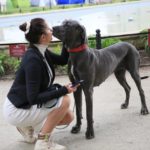 Prawie 3000 rasowych psów pojawiło się podczas wystawy na Zamku w Mosznej [GALERIA]
