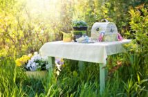 Piknik na Babim Lesie w Chróścicach odbędzie się już 30 maja