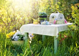 Piknik na Babim Lesie w Chróścicach odbędzie się już 30 maja