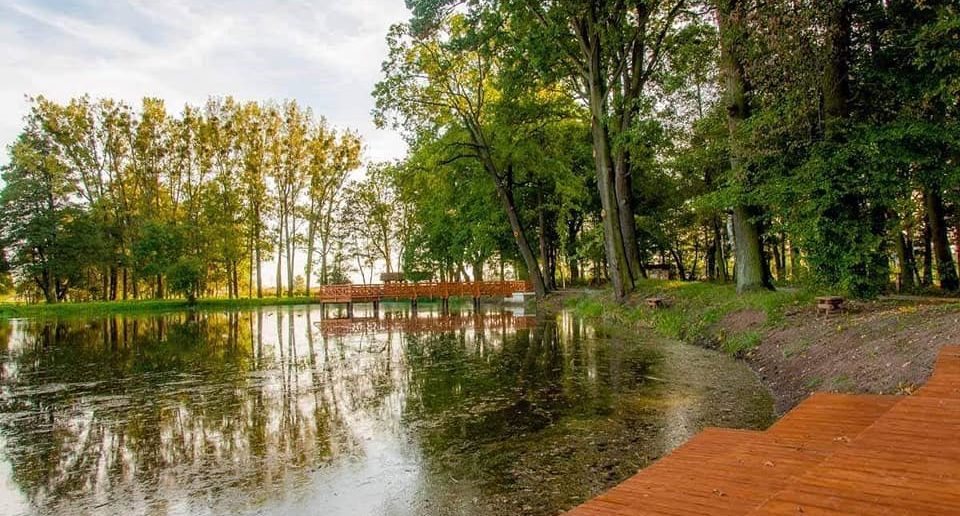 Park Dworski w Chróścinie