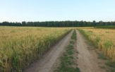 Skorzystają nie tylko rolnicy &#8211; to często dobry skrót i gratka dla rowerzystów