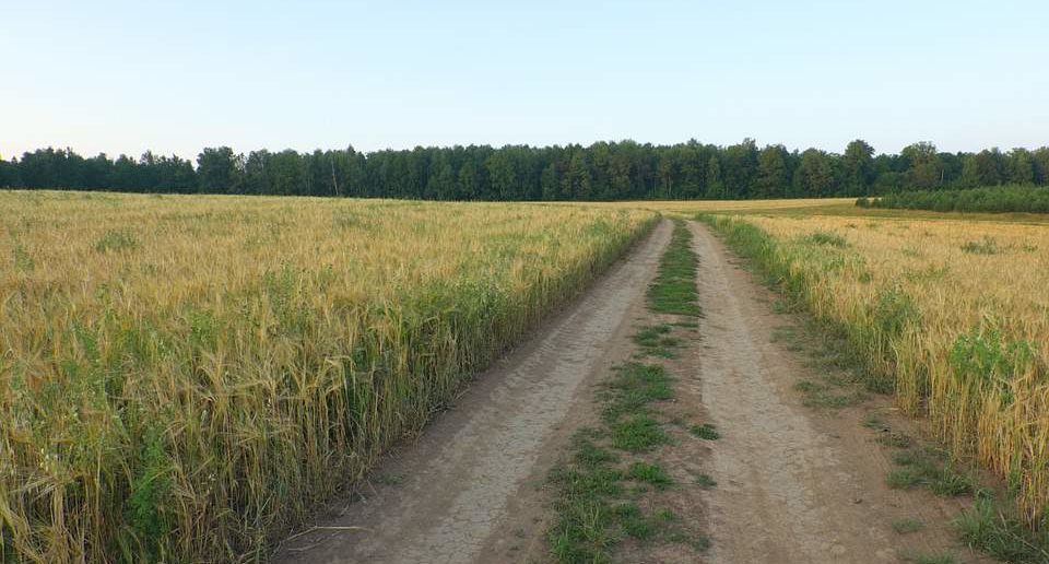 Skorzystają nie tylko rolnicy &#8211; to często dobry skrót i gratka dla rowerzystów