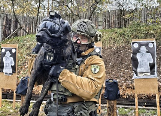 Posterunkowy Thor to pierwszy bojowy pies policji na Opolszczyźnie