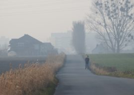 Zostańcie w domach! To truje…