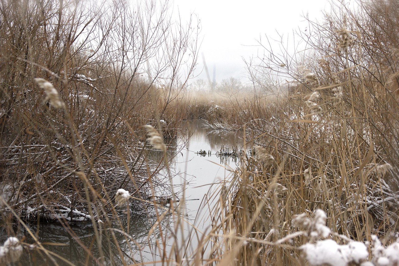 Poprawi się mała retencja w Pokoju, Dąbrowie i Niemodlinie