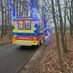 Wypadek na trasie Murów &#8211; Okoły, dostawca jedzenia wjechał w drzewo