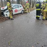 Wypadek na trasie Murów &#8211; Okoły, dostawca jedzenia wjechał w drzewo