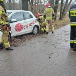 Wypadek na trasie Murów &#8211; Okoły, dostawca jedzenia wjechał w drzewo