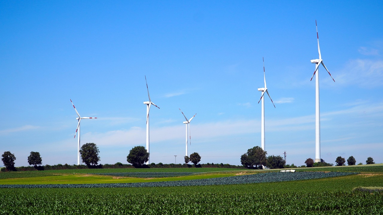 Nieoficjalnie: głubczyckie referendum nieważne