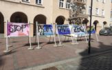 Grzegorz Braun zniszczył wystawę na Rynku w Opolu