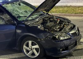 Potrącenie w Opolu. Pijany kierowca uderzył w kobietę, dwoje dzieci i psa