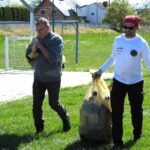 Gmina Dobrzeń Wielki i Opole w Akcji Czysta Odra 2025 [GALERIA]
