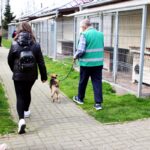 Dzień Otwarty w Schronisku w Opolu