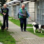 Dzień Otwarty w Schronisku w Opolu