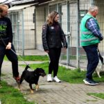 Dzień Otwarty w Schronisku w Opolu
