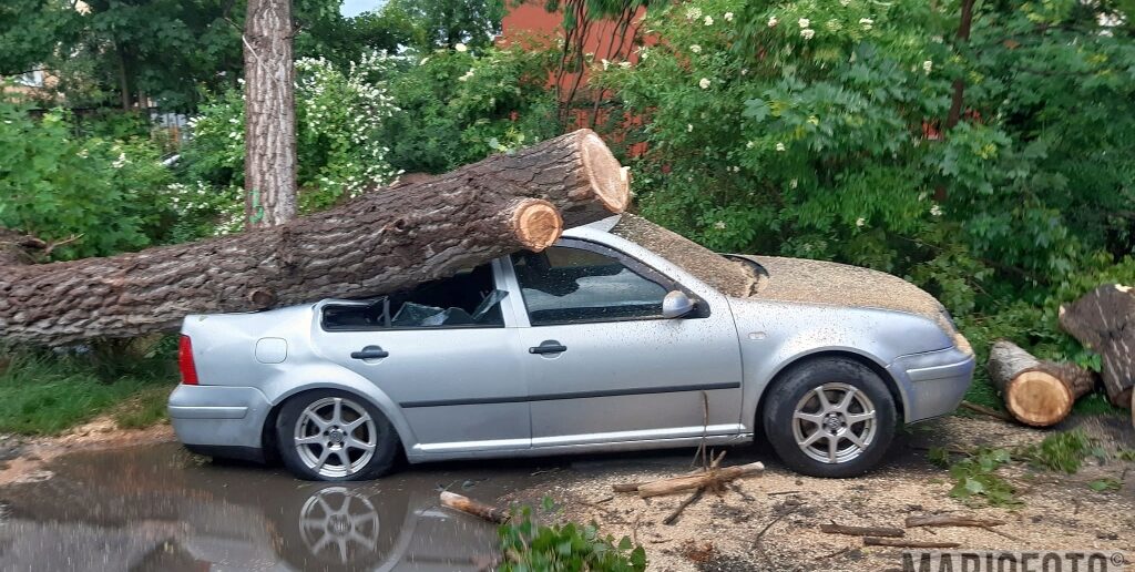 Groźne skutki burzy na Opolszczyźnie. Volkswagen przygnieciony przez drzewo