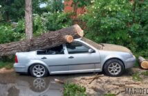 Groźne skutki burzy na Opolszczyźnie. Volkswagen przygnieciony przez drzewo