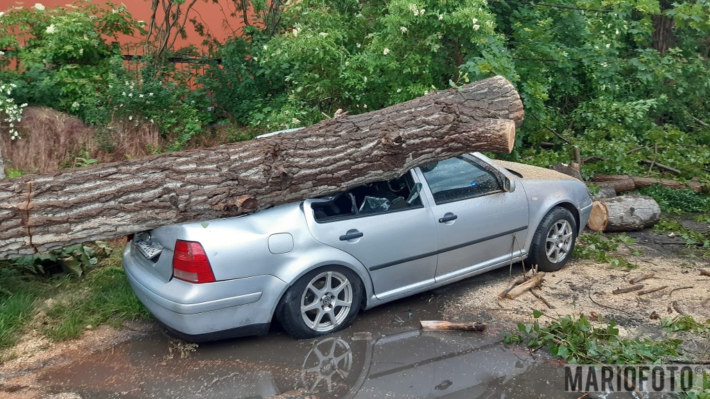 Groźne skutki burzy na Opolszczyźnie. Volkswagen przygnieciony przez drzewo