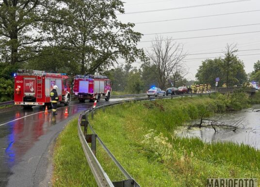 Wypadek w Starych Kolniach na DW457. Jedna osoba poszkodowana