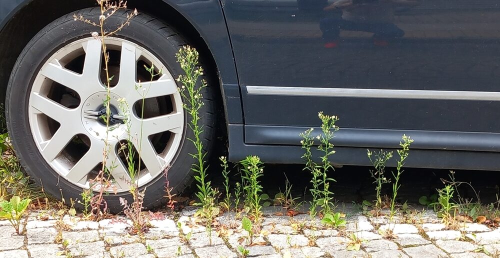 Nowa atrakcja Opola: samochód-widmo z Garwolina