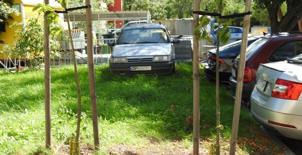 Każdy centymetr trawnika to filtr powietrza. Łąkowa &#8211; nazwa ulicy powinna zobowiązywać