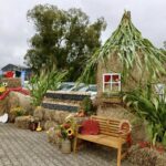 Najpiękniejsze zakątki Opolszczyzny – Zalesie Śląskie i Gąsiorowice wśród laureatów! Dożynki wojewódzkie w Dobrodzieniu