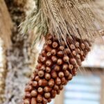 Najpiękniejsze zakątki Opolszczyzny – Zalesie Śląskie i Gąsiorowice wśród laureatów! Dożynki wojewódzkie w Dobrodzieniu