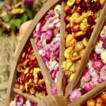 Najpiękniejsze zakątki Opolszczyzny – Zalesie Śląskie i Gąsiorowice wśród laureatów! Dożynki wojewódzkie w Dobrodzieniu