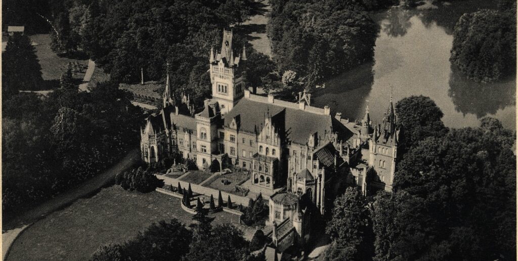 Europejskie Dni Dziedzictwa w Muzeum Śląska Opolskiego: od mikroświatów po wielkie pałace