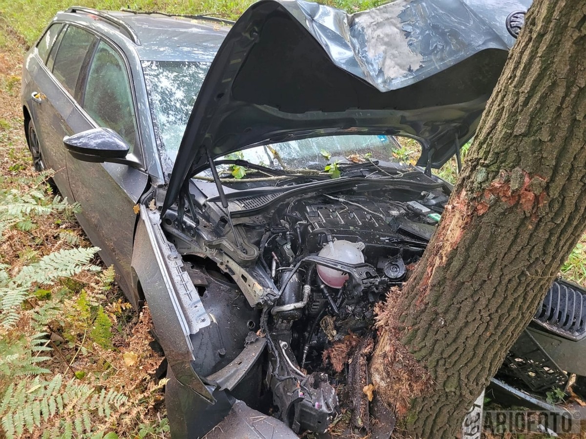 Wypadek na DK46 w miejscowości Dąbrowa. Samochód zjechał z drogi i uderzył w drzewo