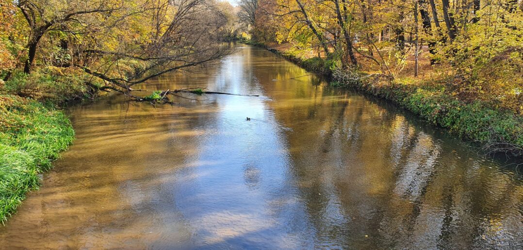 We antreju przi kafeju. „Opowiedz, jak to drzewiej było…” Legenda o powstaniu miasta Ozimek