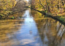 We antreju przi kafeju. „Opowiedz, jak to drzewiej było…” Legenda o powstaniu miasta Ozimek