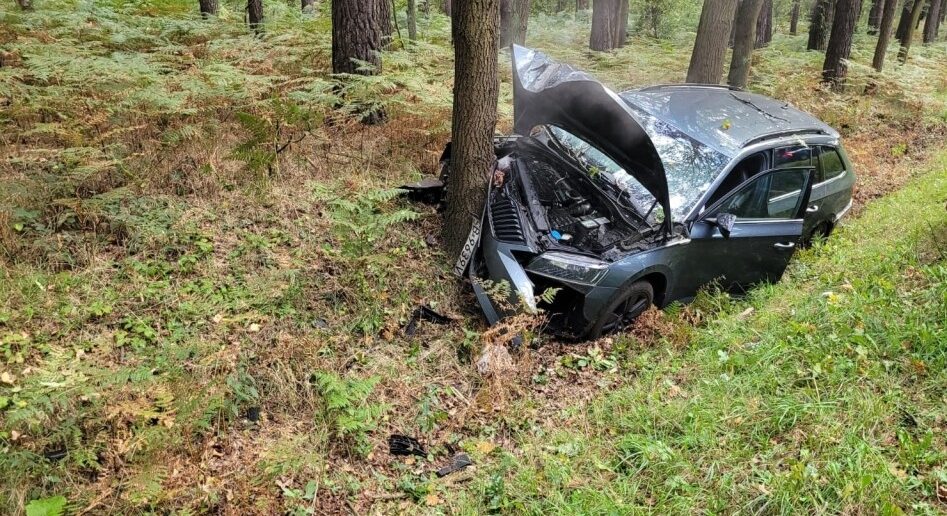 Wypadek na DK46 w miejscowości Dąbrowa. Samochód zjechał z drogi i uderzył w drzewo