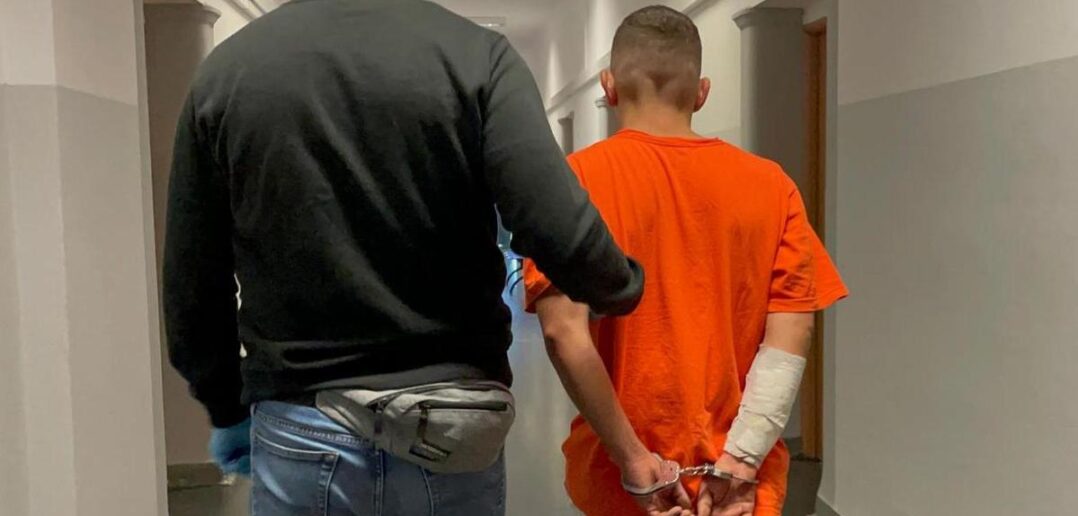 28-latek z Opola zabił dwa psy, groził swojej partnerce nożem i chciał wysadzić mieszkanie