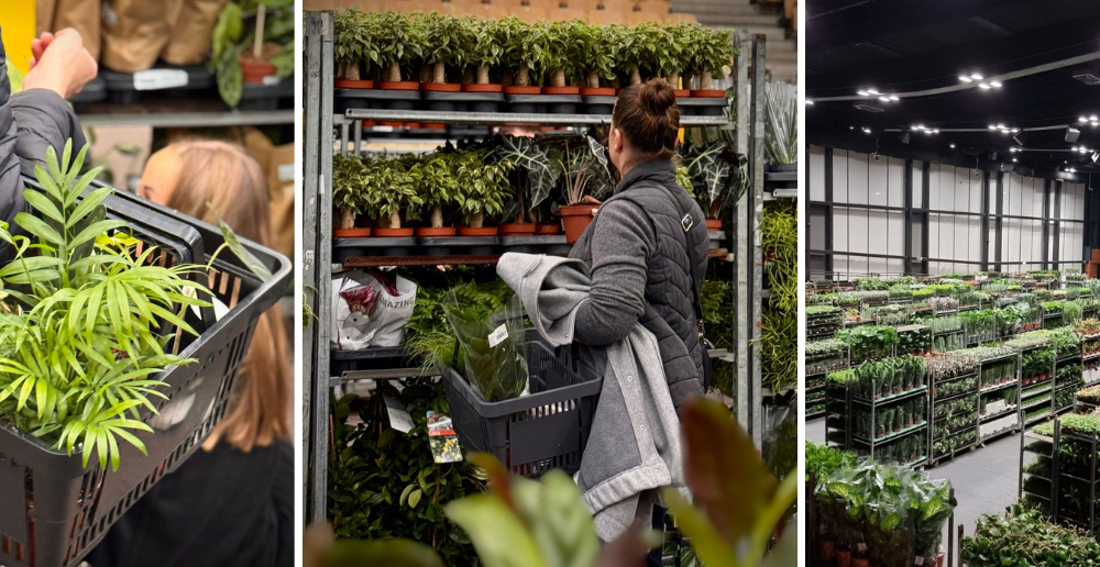 Jesienna edycja Festiwalu Roślin w Opolu!