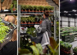 Jesienna edycja Festiwalu Roślin w Opolu!