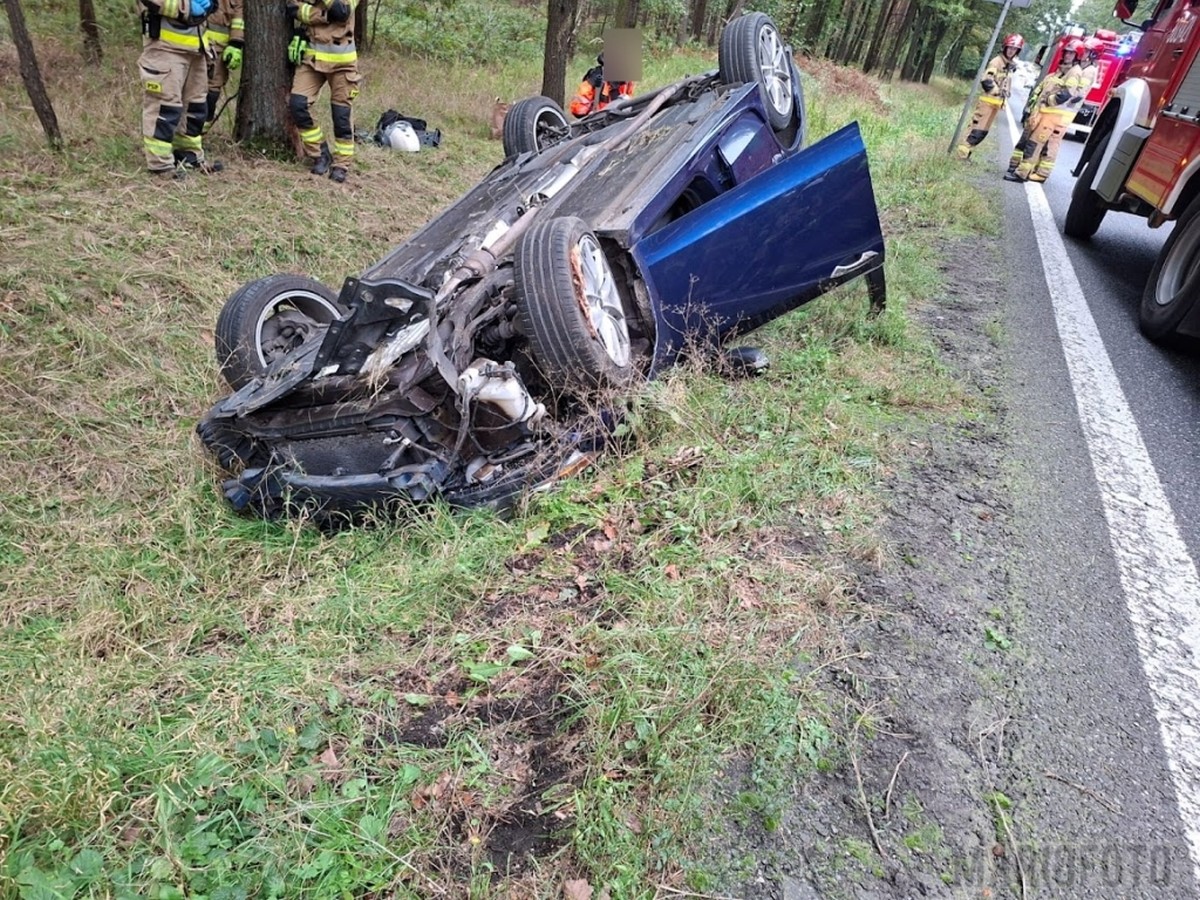 Las Dąbrowski. Dachowanie samochodu na trasie Opole–Nysa