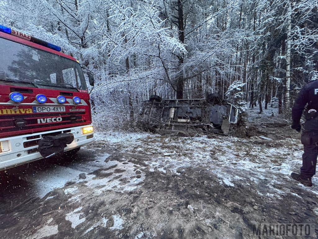 Dachowanie busa w Dańcu