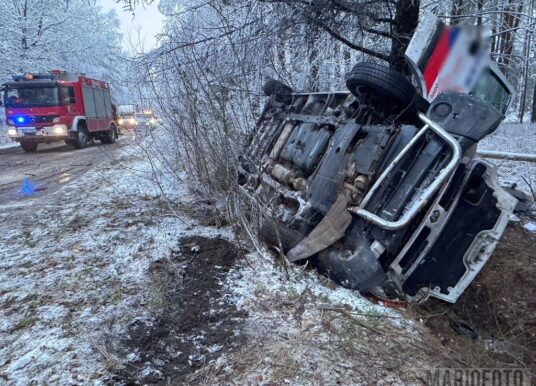 Dachowanie busa w Dańcu