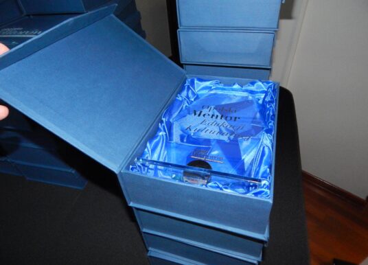 Mentorzy w ciszy robią rewolucję