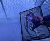 Pierwsze takie narodziny w Polsce! W opolskim zoo na świat przyszły płaszczki