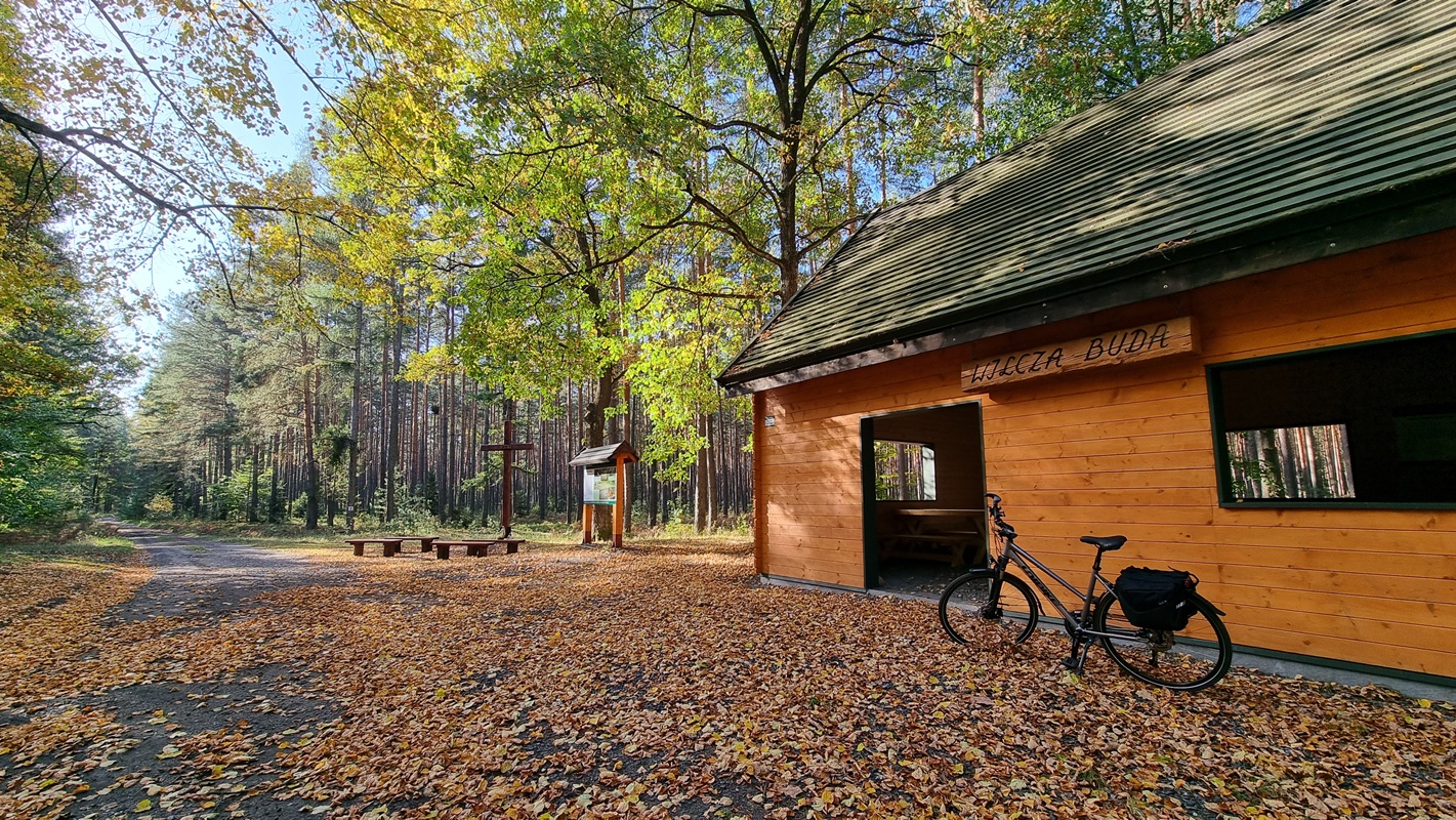 Odkryj Stobrawską Wstęgę – rowerowe wyzwanie w sercu jednego z najcenniejszych parków w Polsce