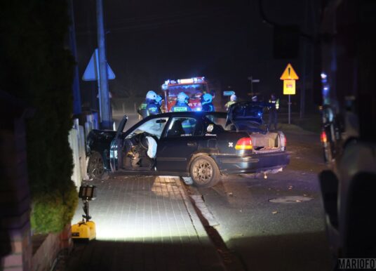 Kierowca osobówki wjechał w ogrodzenie jednej z posesji w Domecku