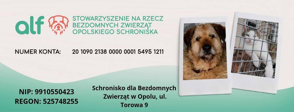 Schroniska pod stałym nadzorem. Wzmocnione kontrole w całym wojew&oacute;dztwie opolskim