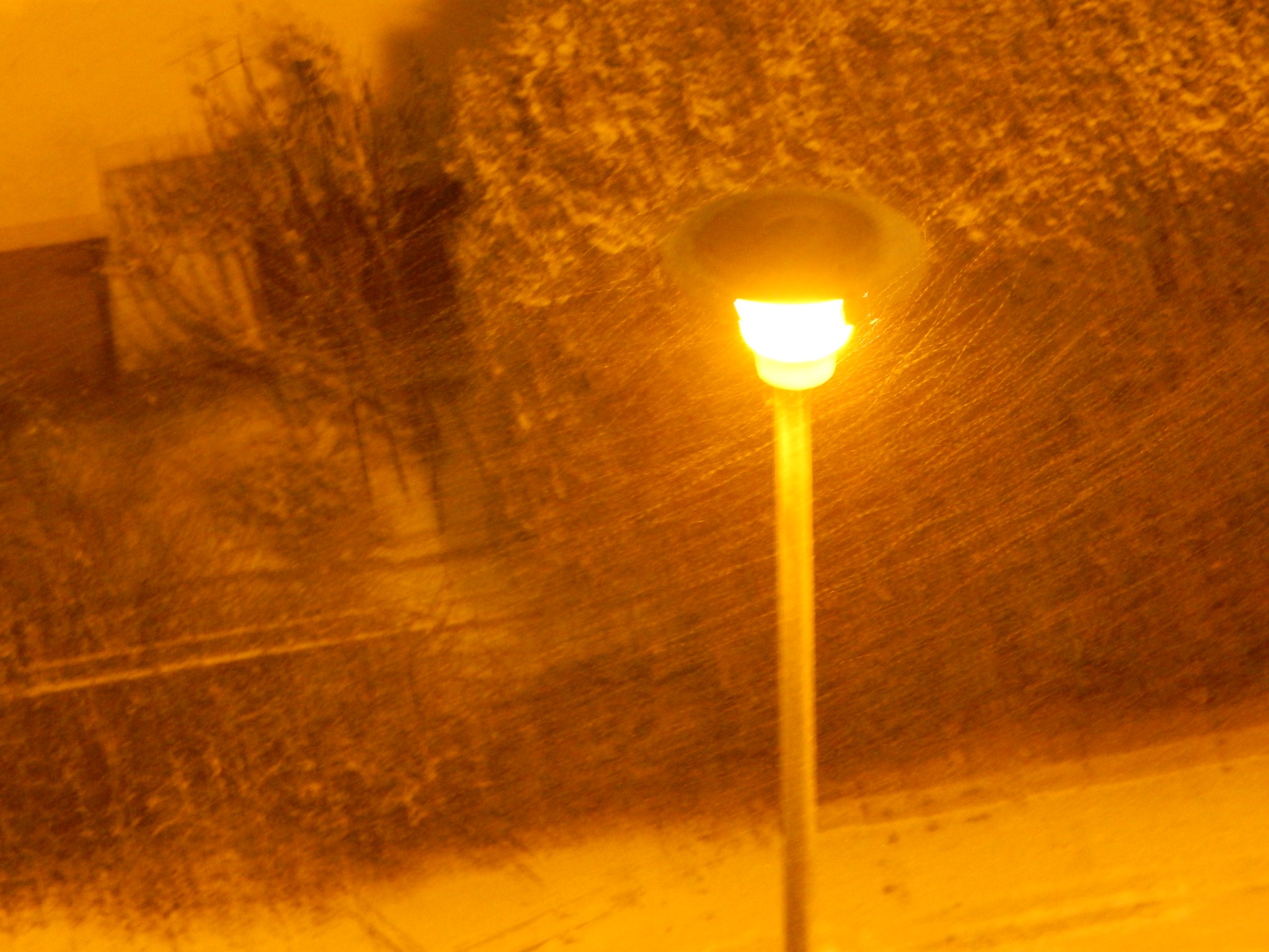 Idzie mróz. Wojewoda alarmuje i prosi o czujność