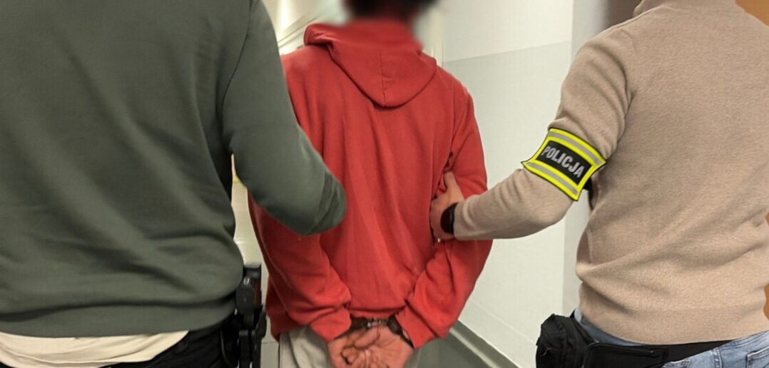 Gdy list gończy spotyka się z Seatem bez przeglądu