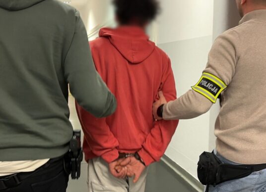 Gdy list gończy spotyka się z Seatem bez przeglądu